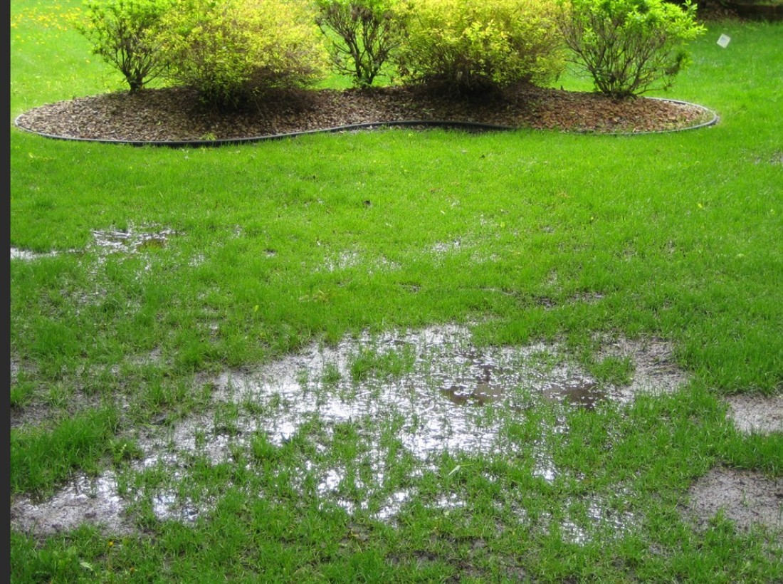 Property Drainage Issues and Some Tips
