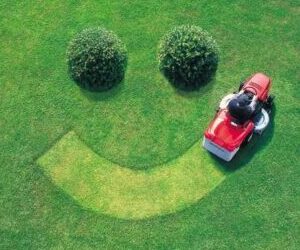 Lawn and Landscape Tips